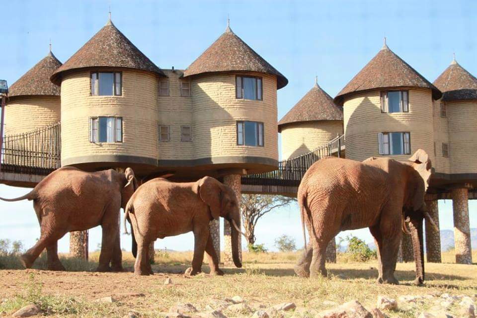 3 Days 2 Nights Salt Lick Taita Hills